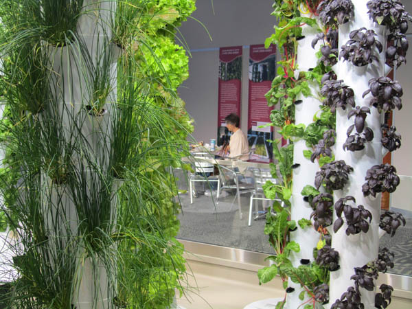 Chicago O'Hare airport goes green with the world's first farmers market and herb garden.