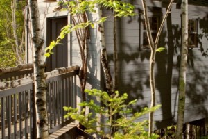 Tree Spa, Hidden Pond, Kennebunkport ME