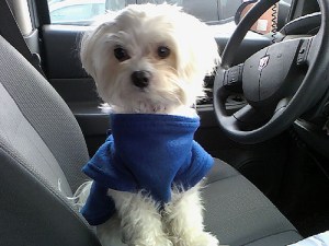 4058515668_f1787e9a4e