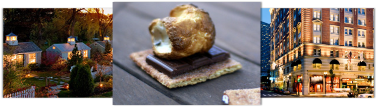 Traditional S'more