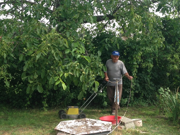 Team Member Agi Gerner's Grandpa with his fig tree on his 93rd birthday in Hungary