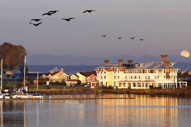 The Olympic Peninsula is wild, spectacularly beautiful, and, to those in the know, a major food and wine destination 