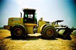 a female deere