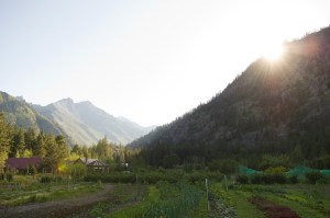 Sleeping Lady Garden 1[1]