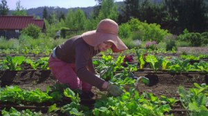 Sleeping Lady Garden 3[1]