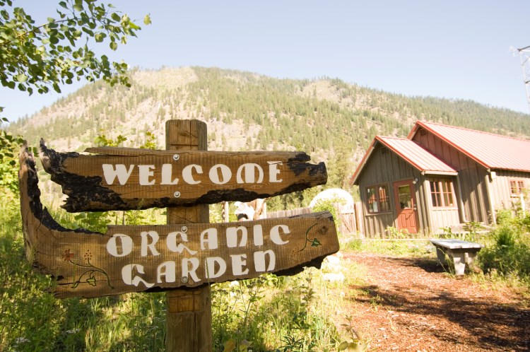 Sleping Lady Organic Entrance[1]