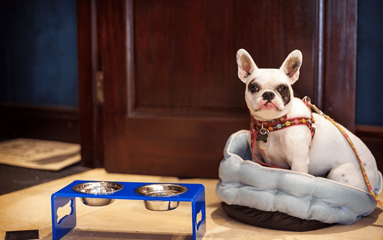 Screen Shot 2015-09-04 at 3.47.55 PM