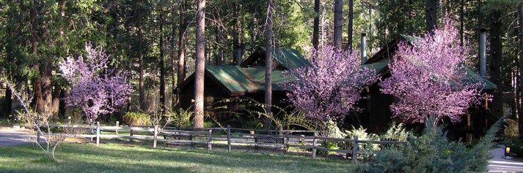 quiet-creek-inn-outdoor-image_hero