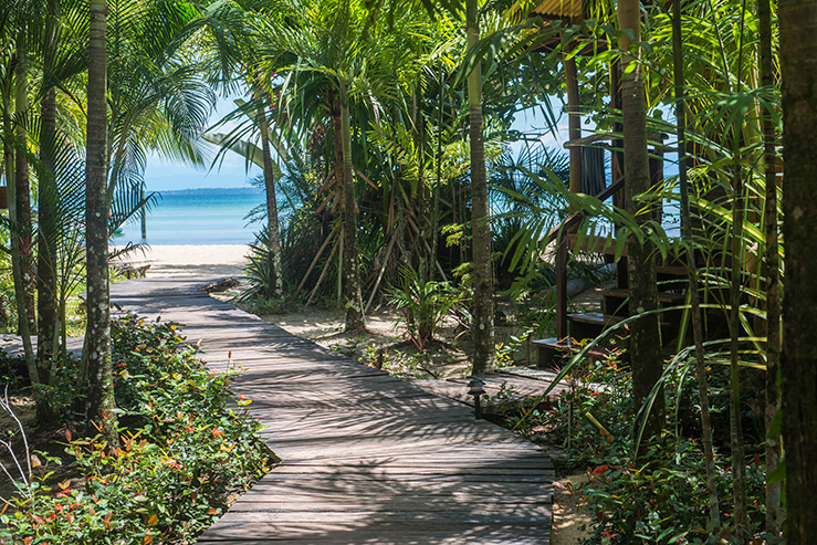 casa-cayuco-eco-adventure-lodge-walkway_hpg